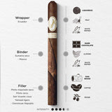 Davidoff Millennium Lancero Limited Edition Collection 2023 Zigarre Geschmacksprofil