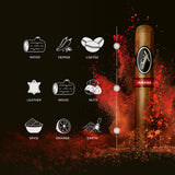 Davidoff Yamasa Serie Geschmacksprofil