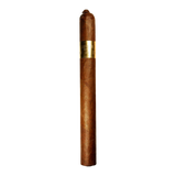 Nat Cicco "HHB Gold" Churchill