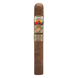 San Cristobal "Revelation Triumph"