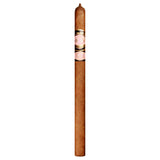 Southern Draw "Rose of Sharon" Lancero
