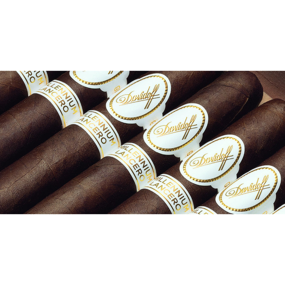 Davidoff Millennium Lancero Limited Edition Collection 2023 Zigarre Detail