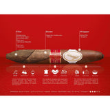 Davidoff Year of the Rabbit 2023 Perfecto Limited Edition Zigarre - Geschmacksprofil